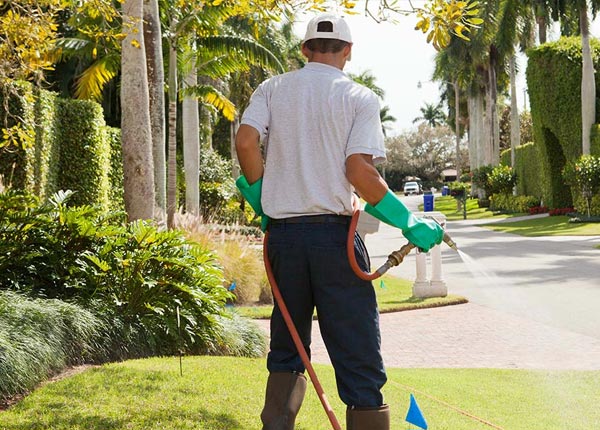 About Loyalton CA Pest Control